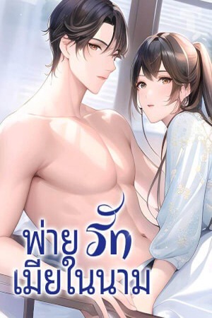 ปกของ พ่ายรักเมียในนาม(จบ)